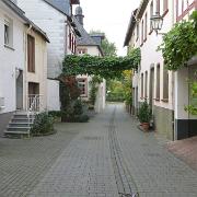 Trier- (23)