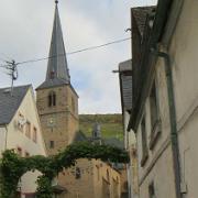 Trier- (24)