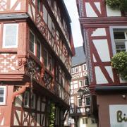 Trier- (93)