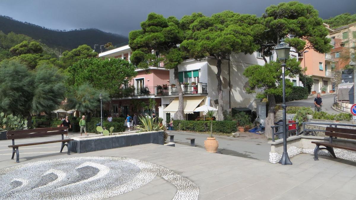IMG 0542