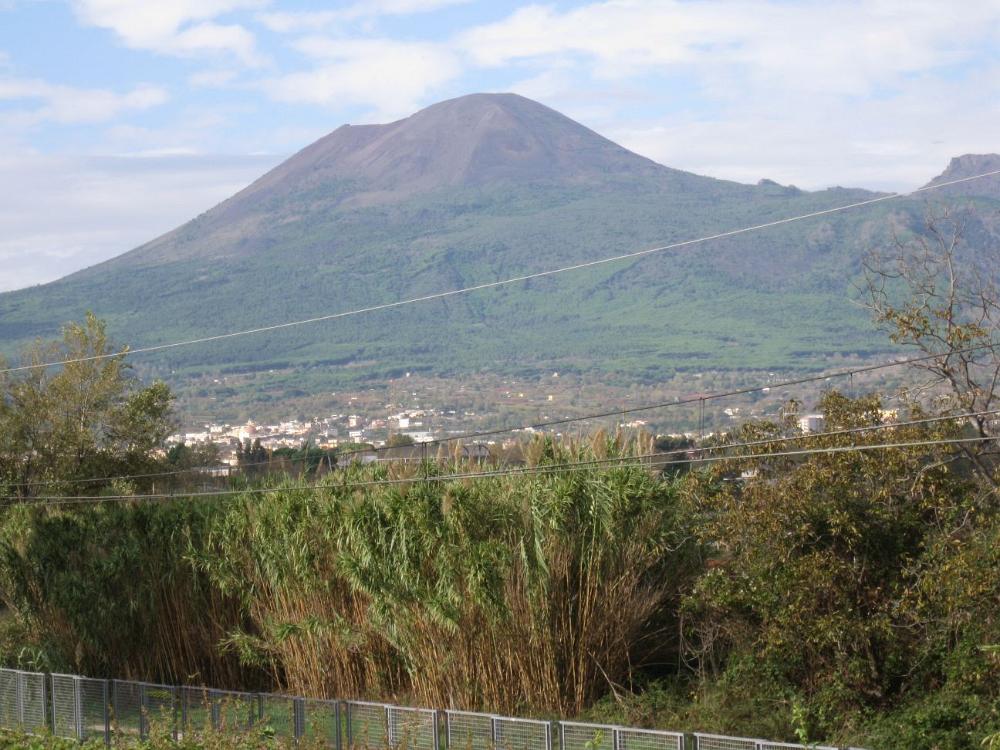 Italien (586)