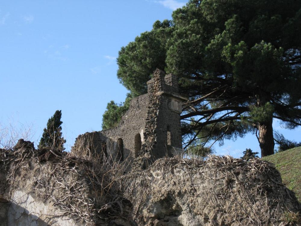 Italien (589)