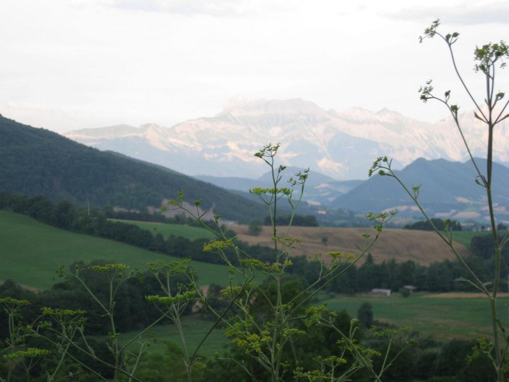 Südfrankreich (549)