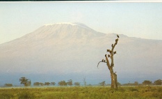 #Amboseli